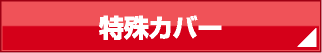 特殊カバー